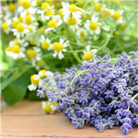 LAVENDER CHAMOMILE - Home Oil