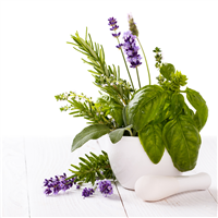 LAVENDER & BASIL - Home Oil