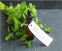 Purely Peppermint - Home Oil