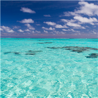 SOUTH PACIFIC WATERS - Home Oil