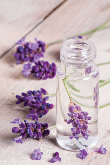 LAVENDER