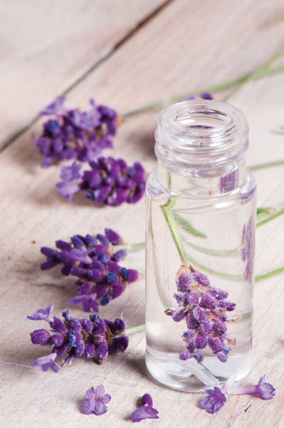 Lavender- Home Oil